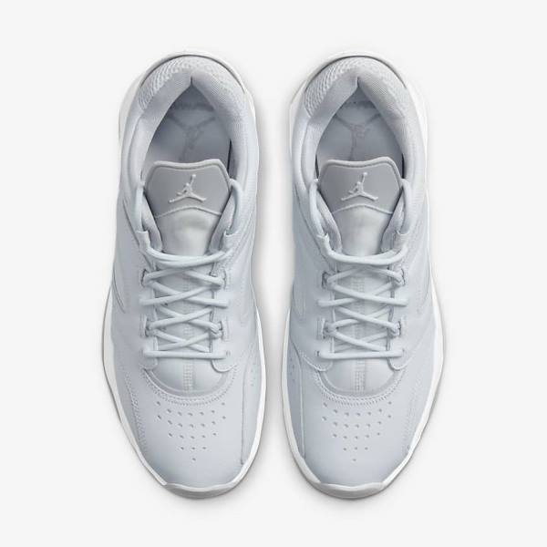 Buty Jordan Męskie Nike Jordan Point Lane Platyna Białe Szare | NK510VRX