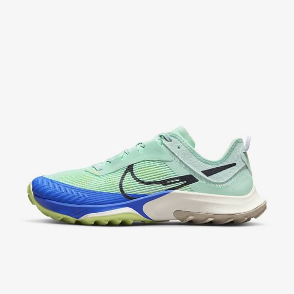 Buty do Biegania Damskie Nike Air Zoom Terra Kiger 8 Trailowe Mięta Szare Niebieskie | NK097KGM