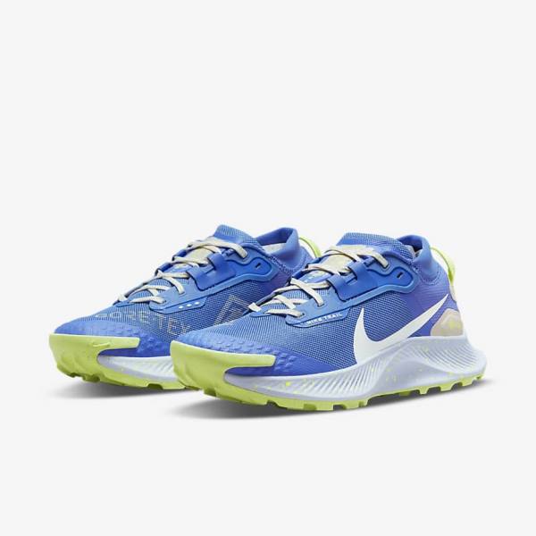 Buty do Biegania Damskie Nike Pegasus Trailowe 3 GORE-TEX Nieprzemakalne Trailowe Niebieskie Brązowe Szare | NK086XJD