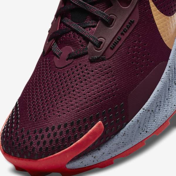 Buty do Biegania Męskie Nike Pegasus Trailowe 3 Trailowe Czarne Głęboka Czerwone Brązowe | NK281AVT