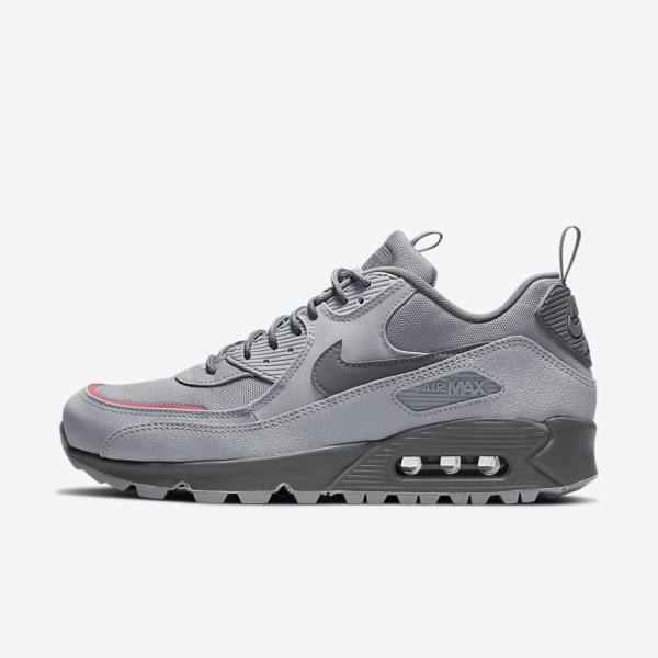 Trampki Męskie Nike Air Max 90 Surplus Szare Różowe Głęboka Niebieskie Szare | NK412EHA