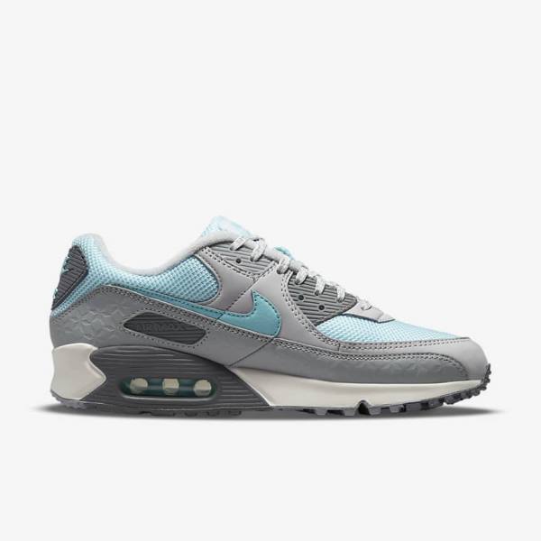 Trampki Męskie Nike Air Max 90 Szare Platyna | NK075ECD