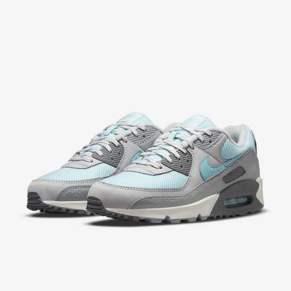 Trampki Męskie Nike Air Max 90 Szare Platyna | NK075ECD