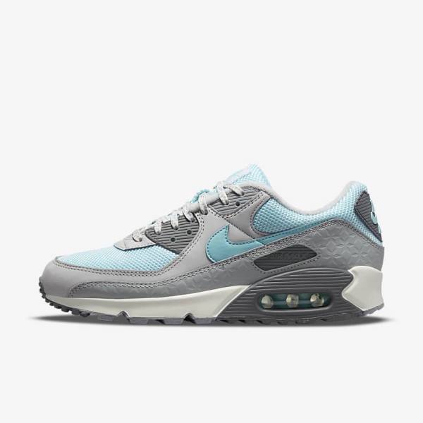 Trampki Męskie Nike Air Max 90 Szare Platyna | NK075ECD