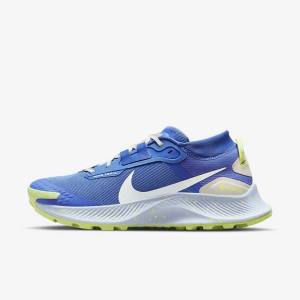 Buty do Biegania Damskie Nike Pegasus Trailowe 3 GORE-TEX Nieprzemakalne Trailowe Niebieskie Brązowe Szare | NK086XJD